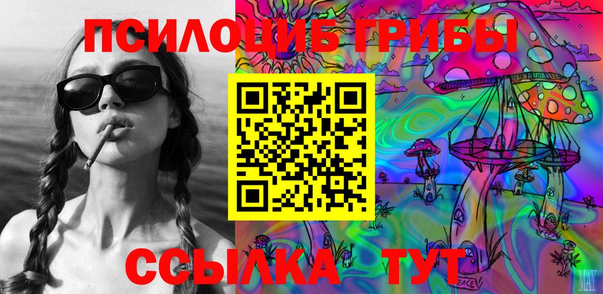 Псилоцибиновые грибы прущие грибы Коммунар