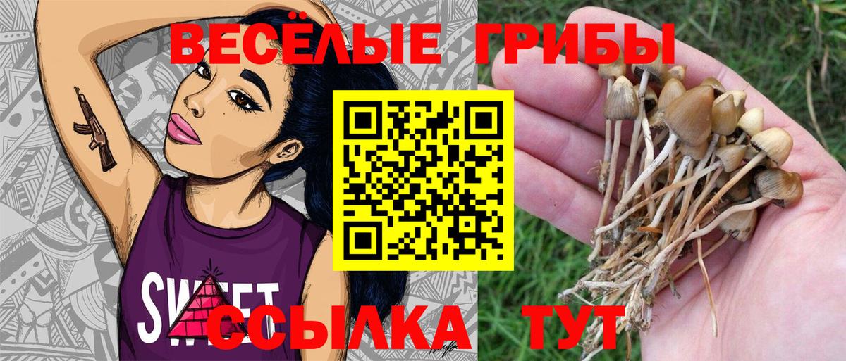 Коммунар  Псилоцибиновые грибы прущие грибы  Псилоцибиновые грибы Magic Shrooms  Вход с VPN 